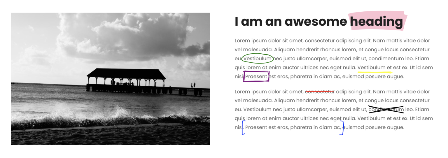 How to animate notations on scroll using RoughNotation.js in Bricks ...