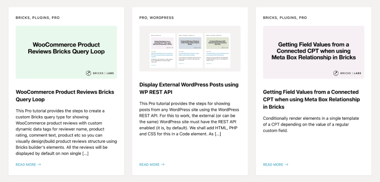 WordPress Posts using WP REST API in Bricks